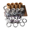 Aftermarket CT3-69TV CT369TV CT3.69TV Overhauling Engine Rebuild Kits For Carrier 922 944 950MT 950 960 1050 1150 1250 950U R90