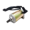 Aftermarket Engine Parts Starter Motor 31200-013-0000 for Hisun 250 Massimo Gunner 250 Bennche Cowboy 250 Coleman UT250 Spire 250