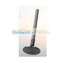 HOLDWELL? Exhaust valve 3142A151 for Perkins 1104 series